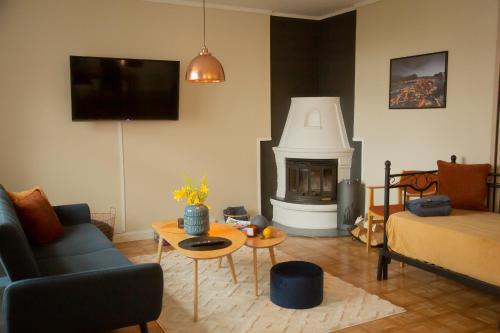 奥勒松Light Sentral Apartment Ålesund的带沙发和壁炉的客厅