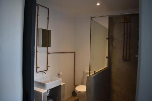 开普敦Langbeentjie Inn的一间带水槽、卫生间和镜子的浴室