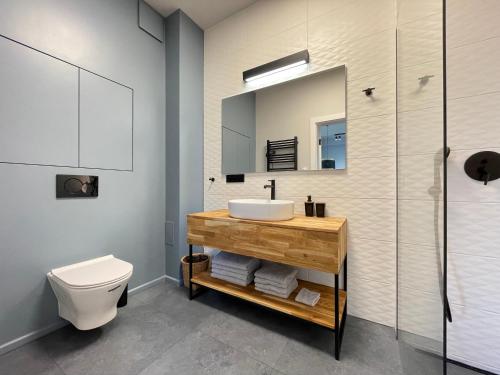 梅彻林基Apartament Luna的一间带水槽、卫生间和镜子的浴室
