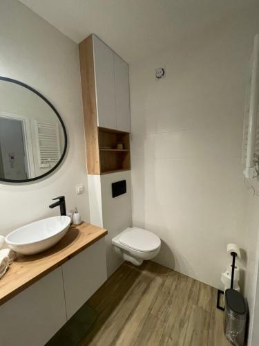 詹塔尔Apartament Jantar的一间带水槽、卫生间和镜子的浴室