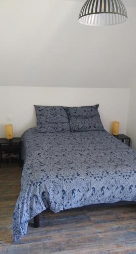 ChoiseyLE MARCEL appartement F1 de 24 m²的一间卧室配有一张带蓝色棉被的床
