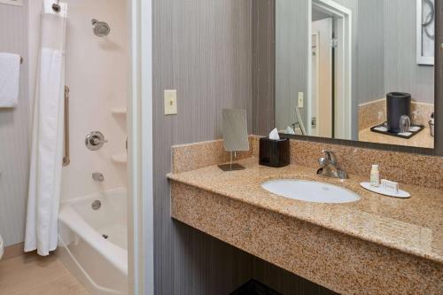 卡梅尔印第安纳波利斯-卡梅尔万怡酒店的一间带水槽和镜子的浴室