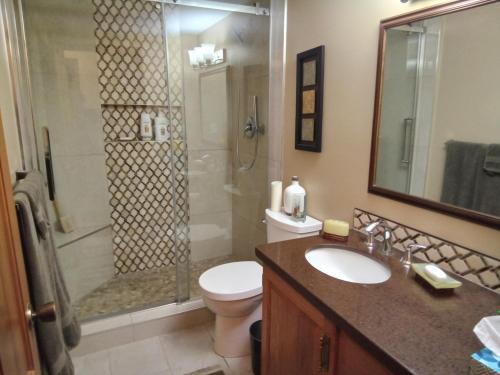 Blind BayHannie's Gasthuis的带淋浴、卫生间和盥洗盆的浴室