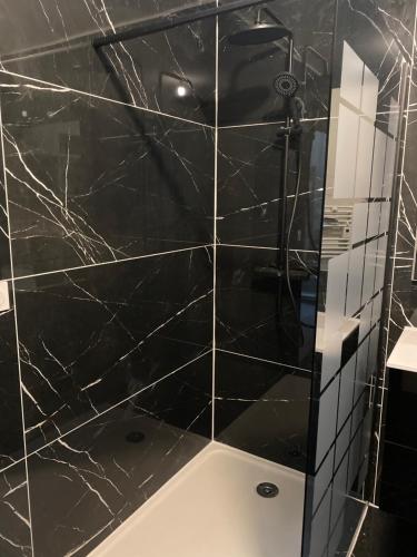 AndanceAppartement neuf avec garage的带淋浴的浴室和黑色瓷砖墙
