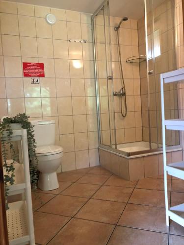 德布吉domki rainers的带淋浴、卫生间和淋浴的浴室