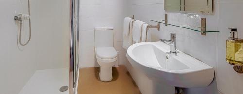 阿伯福伊尔罗布罗伊酒店的一间带水槽、卫生间和淋浴的浴室