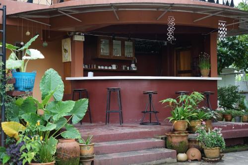 清莱SukSanti CoLiving and Vacation的一间红色的房子,里面装有酒吧和一些植物
