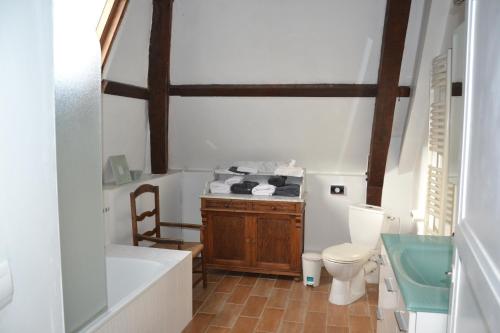圣茹昂代盖雷特Les Trauchandieres de Saint Malo的一间带卫生间和水槽的浴室