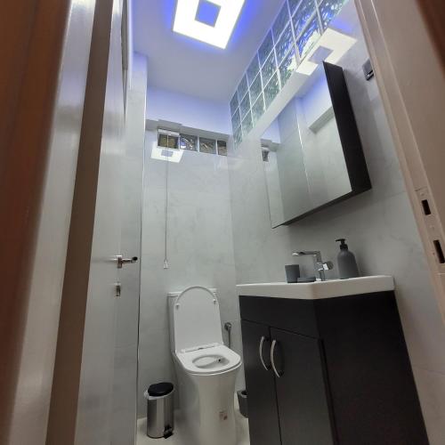 纳弗帕克托斯SOFICOS Sea View Apartment的浴室配有卫生间、水槽和天窗。