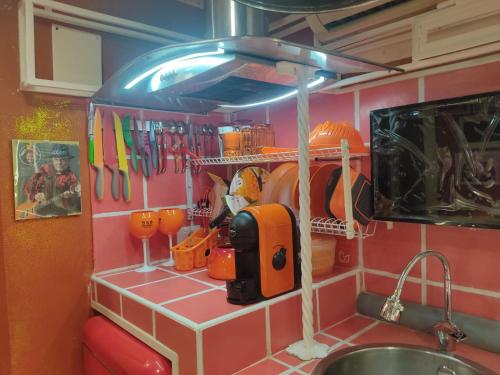 卡塔尼亚Elvis - Marilyn - Vasco Rossi - Airport Catania Center的厨房配有水槽和带餐具的衣架