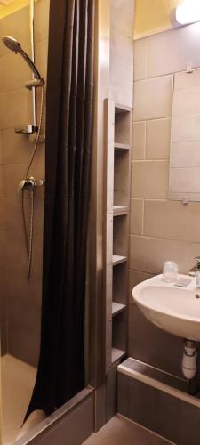 索恩河畔沙隆雅克拜斯酒店的浴室配有淋浴帘和盥洗盆。