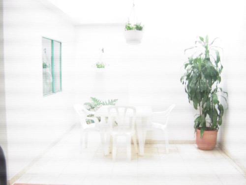 比亚维森西奥Hotel Arpa de Aguas的用餐室配有两把椅子和一张植物桌子