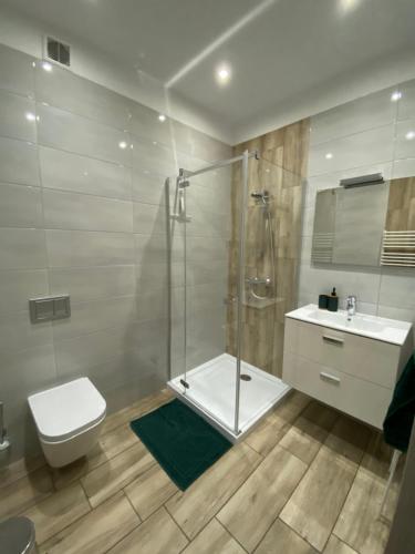 西恩纳Apartamenty Pod Rudką Czarna Góra Agroturystyka的带淋浴、卫生间和盥洗盆的浴室