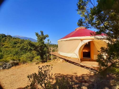 RigardaYourte contemporaine avec magnifique vue sur les montagnes的田野上红色屋顶的大型黄色帐篷