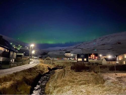 VágurKálhagagarður的一条路上的天空中一片绿色的极光