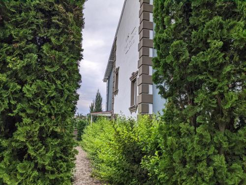 GnedinOld School Villa的前面有绿色灌木的白色建筑