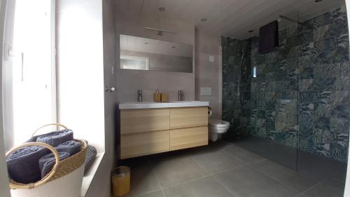 Port-ValaisAloha chambres的一间带水槽、淋浴和卫生间的浴室