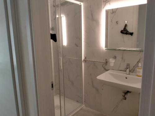 威尼斯Nic House的带淋浴、盥洗盆和镜子的浴室
