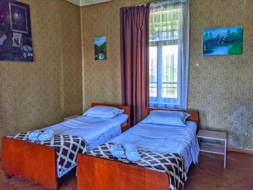 Zemo AlvaniVeli Guest House • საოჯახო სასტუმრო ველი的带窗户的客房内设有两张单人床。