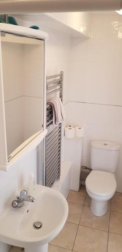 吉尔福德20的白色的浴室设有卫生间和水槽。