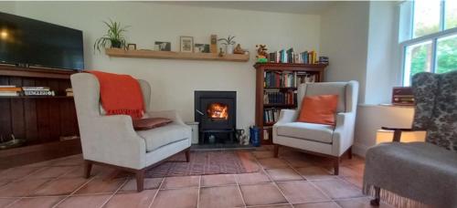 丁格尔Dingle Woodland Cottage的客厅配有两把椅子和壁炉
