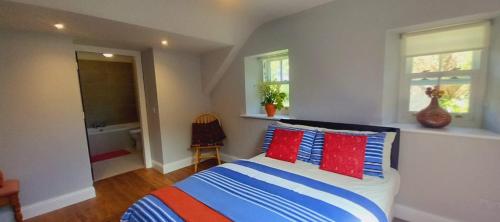丁格尔Dingle Woodland Cottage的一间卧室配有一张带红色和蓝色枕头的床