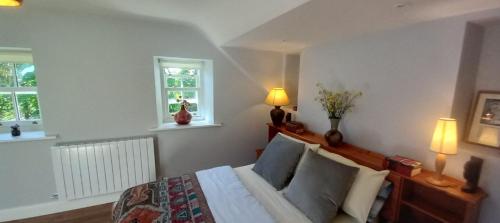 丁格尔Dingle Woodland Cottage的一间卧室配有一张带两盏灯的床和两扇窗户。