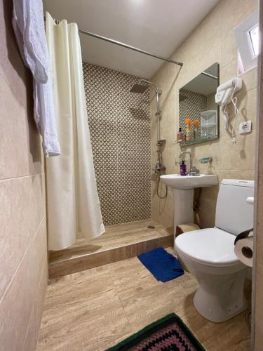 卡兹贝吉Warm House的带淋浴、卫生间和盥洗盆的浴室