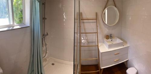 格兰德凯斯Akunamatata Guest House Grand Case的带淋浴、盥洗盆和镜子的浴室