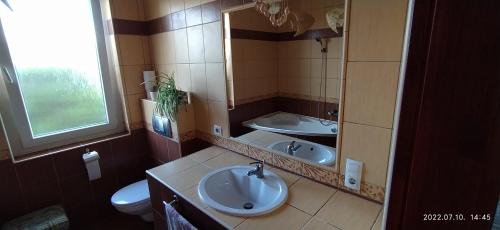 陶波尔曹Barackos Apartman的浴室设有2个水槽和镜子
