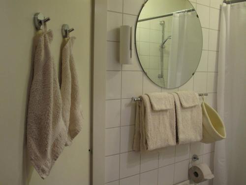 海牙树顶公寓的浴室设有毛巾和墙上的镜子
