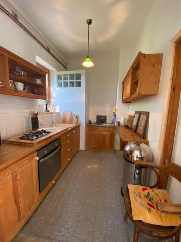 布达佩斯Rustic Cottage & Garden Retreat on Buda Hilltop的厨房配有木制橱柜和炉灶烤箱。