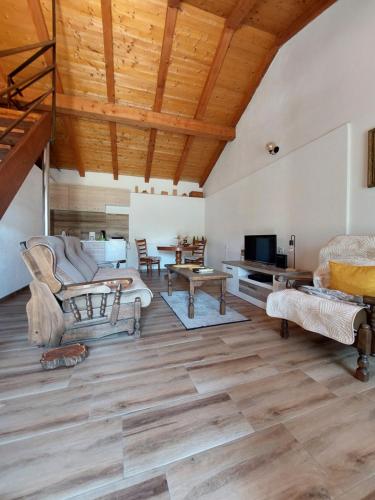 波德戈里察Apartman Boljević的客厅设有木制天花板和木地板。