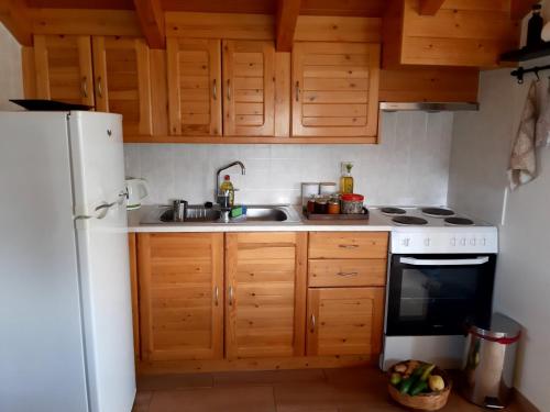 AkamatraTraditional house in Akamatra square的厨房配有木制橱柜和白色冰箱。