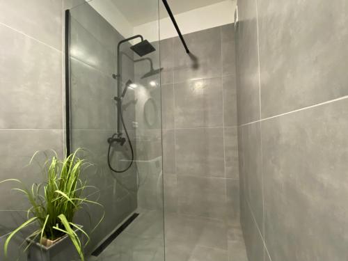 斯皮什新村Concordia apartment的一间带淋浴的浴室,里面装有植物