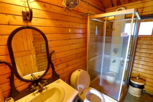 巴加普里莫波特拉维尔德度假酒店的带淋浴、卫生间和盥洗盆的浴室