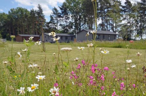 RiccallHollicarrs Holiday Park - Hares Leap的花田,有房子在后面