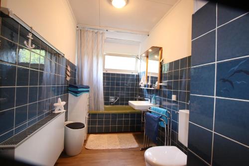DriedorfFerienwohnung Zum Rosengarten WEST015 Westerwald的蓝色瓷砖浴室设有水槽和卫生间