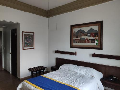 维多利亚城Hotel Sierra Gorda的卧室配有一张床,墙上挂着一幅画