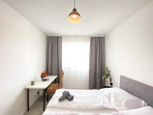 斯皮什新村Concordia apartment的一间卧室配有一张床、一张书桌和一个窗户。