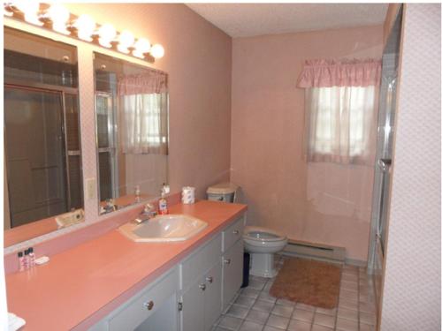 乔治湖Pinebrook - Three Bedroom House的一间带水槽、卫生间和镜子的浴室