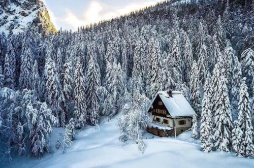 克拉尼斯卡戈拉Tonkina koča的雪覆盖森林中部的小屋