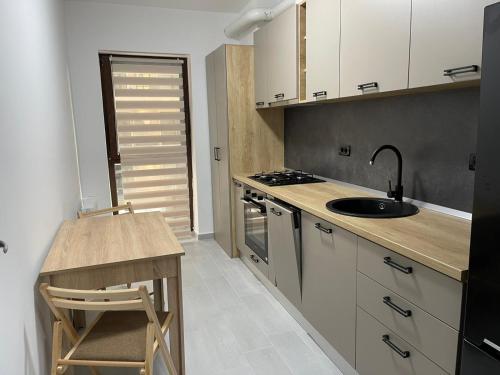 布加勒斯特Apartament Moghioros Park Residence DUM1的厨房配有柜台、水槽和炉灶。