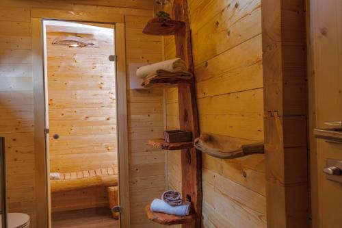 NazarjeLake Cottage - Koča ob jezeru的小木屋浴室设有木墙