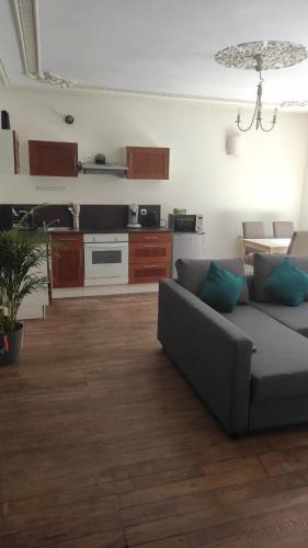 内尔河畔欧比尼AUBIGNY SUR NERE的带沙发的客厅和厨房