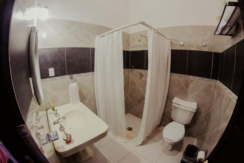 圣路易斯波托西GRAN ALCÁZAR HOTEL BOUTIQUE的一间带水槽、卫生间和淋浴的浴室