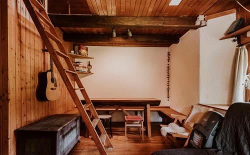 布莱德Marko's eco cabin的一间设有吉他、桌子和梯子的房间
