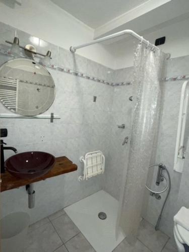 尚波吕克Rifugio Baita Belvedere的带淋浴和盥洗盆的白色浴室