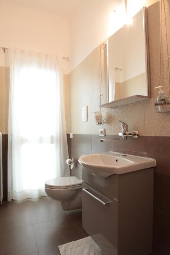 TrepuzziTerra Oltre B&B的一间带水槽、卫生间和镜子的浴室