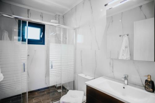 亚历山德鲁波利斯ALEXANDRA Boutique Residence Downtown的白色的浴室设有水槽和淋浴。